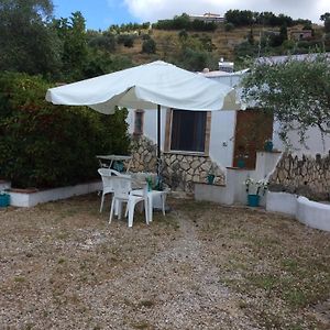 Residence Rosa Blu